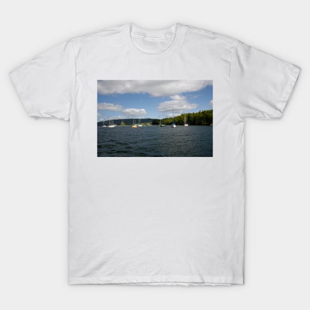 850_4958 T-Shirt by wgcosby